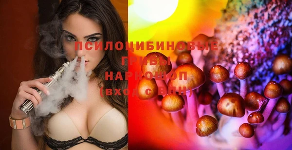 меф Инсар