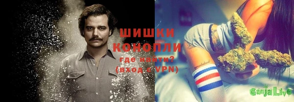 гидропоника Иннополис
