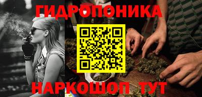 крисы Коммунар