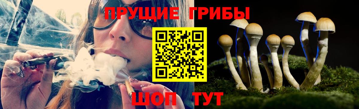 Псилоцибиновые грибы ЛСД  Псилоцибиновые грибы прущие грибы  Коркино  Вход с VPN 